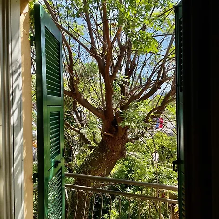 מלון Beau Rivage